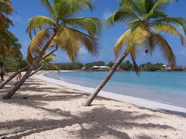 martinique